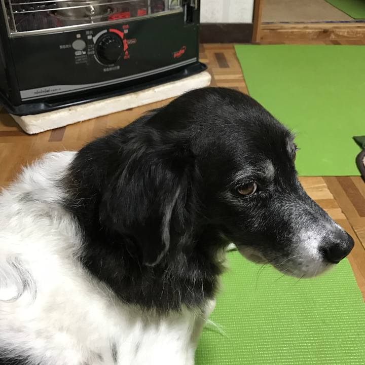 29054300 e851 417a b4e1 e3f3c3f24caf