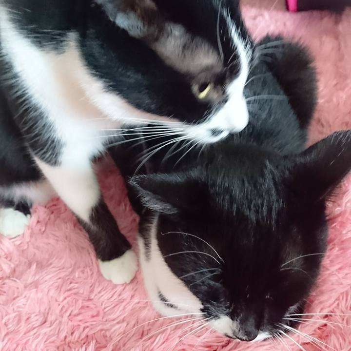 29056d80 8657 4c88 8c94 956da831829c