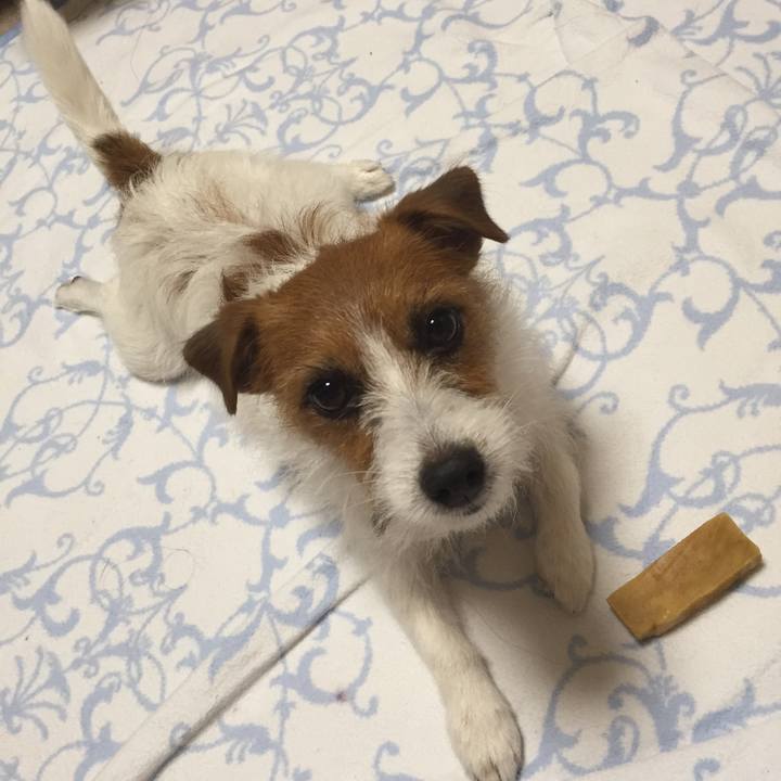 29064117 a9f8 4f41 b145 8b8c9128876a