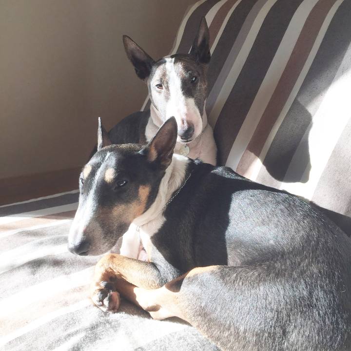 2906b72a 0d2c 4f1a 94bc 6ef2da7fcf71