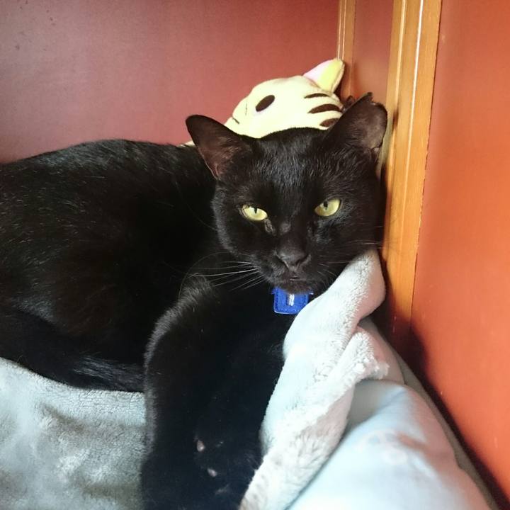 2906c144 614f 41ca 9f6e d6732655377b