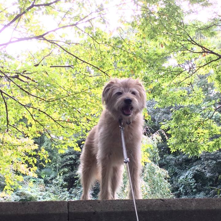 290774a2 5a50 4c08 bc53 e9f2ea904ced