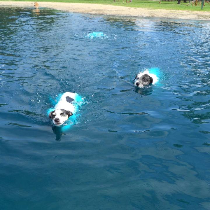 29078bda 293b 4cbf ab74 f8e7b694b102