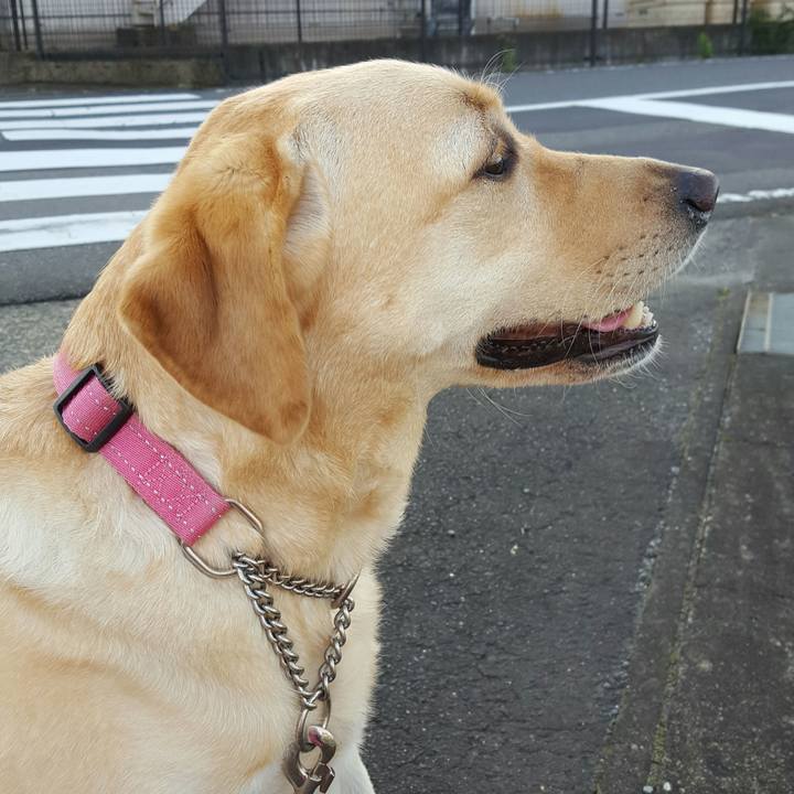 2907cbf6 7cb3 43b9 9f33 75a75fb8791f