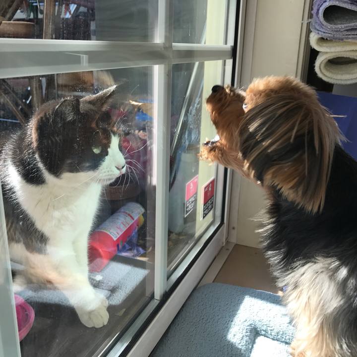 2907d877 d974 4d82 9b25 3638ec1138cf