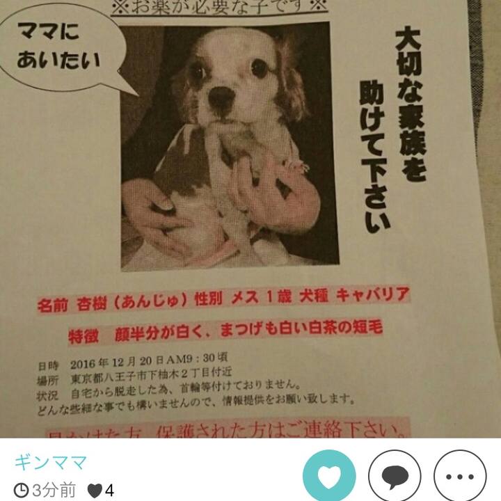 29081f78 fd0c 4f92 be92 88330d3fea2d