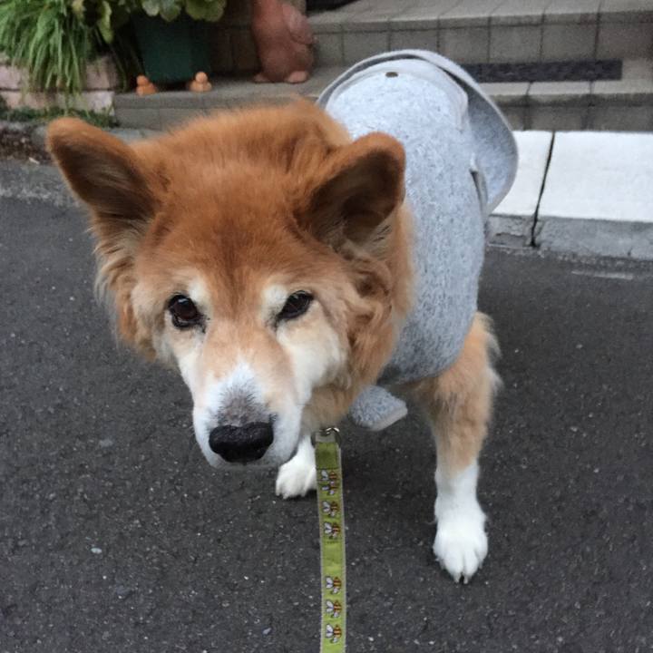 2908709d 752f 43b7 bef6 9f072601dd8c