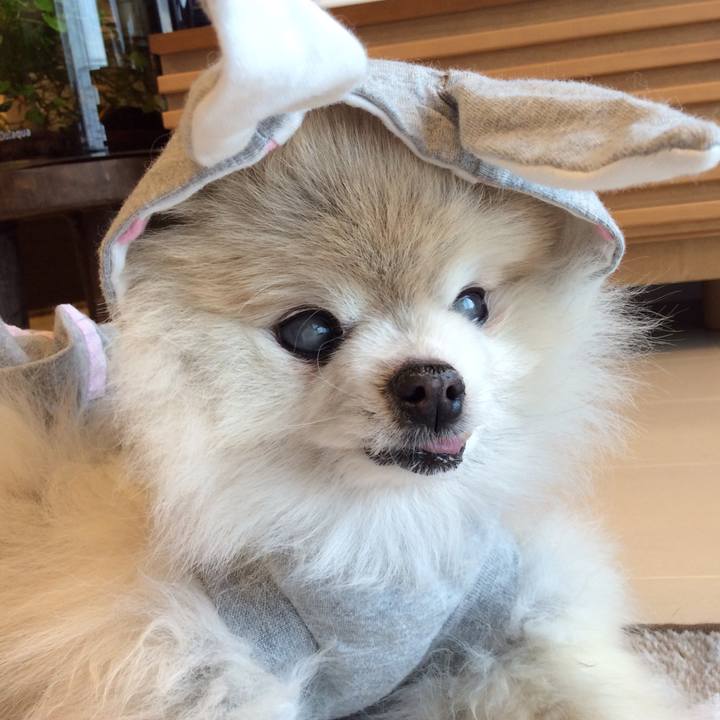 2908a0f6 7148 479f b7cb 7c3124e6abfa