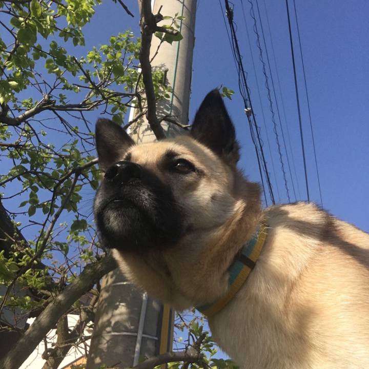 290906d9 6455 4600 bbdb f023408f210c