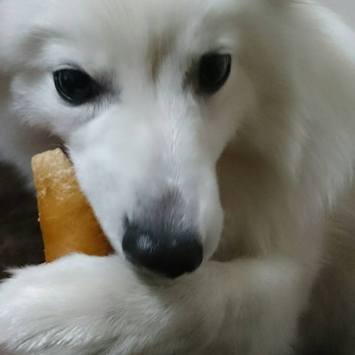 29092afe 960d 4ebd a827 7254fdaa0a71