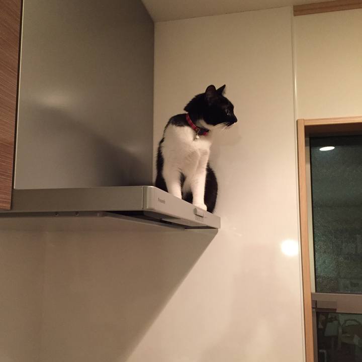 29094fcb 2d47 4dfe 9d42 98f89c77a9d0