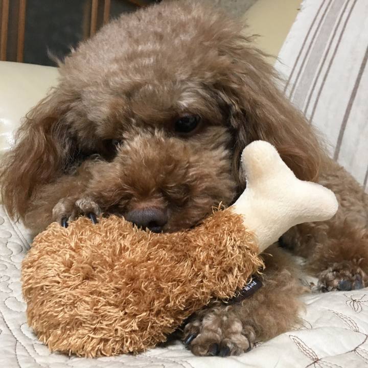 2909faaf 9e1a 41f4 9e7d 6823409cbd76