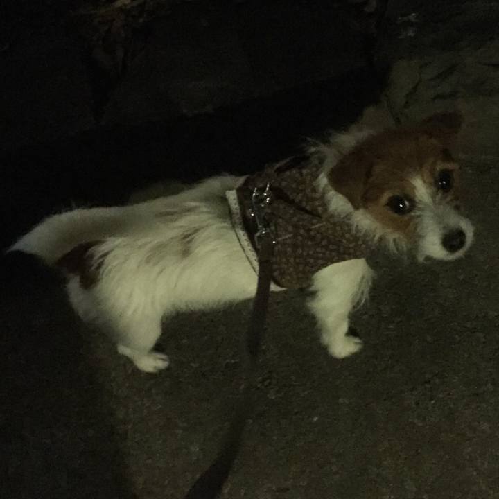 290a1be8 25db 4002 9cbf d6138683ad69