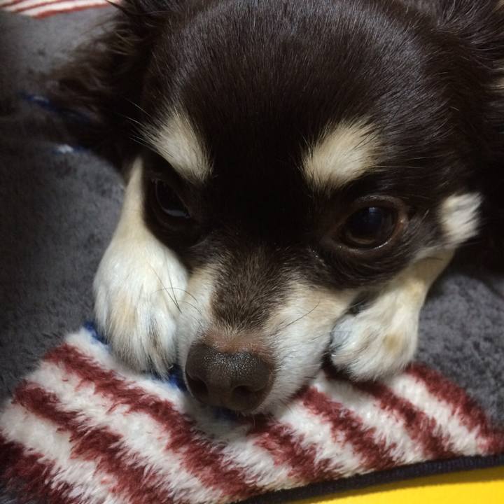 290ae9c3 1ac9 40b7 820b f98a36d4b9c4