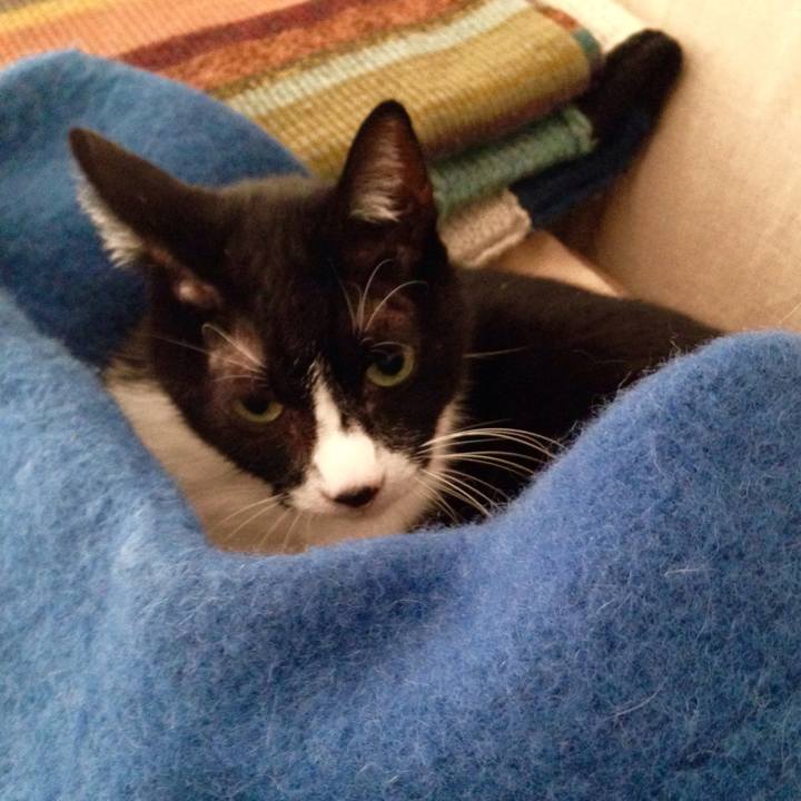 290b54e5 1c4f 446c bd21 2cab6b5c7282