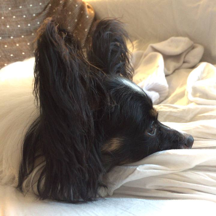 290b978b cfe2 4071 96d5 60488a5f8384