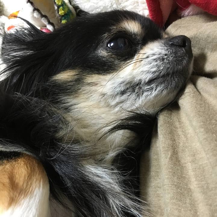 290bda55 8e22 4423 b2ac ea3d972e3dd2