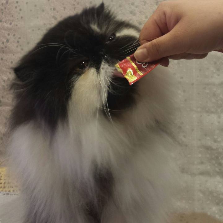 290c114f 933c 413b 9513 a94855e953f6