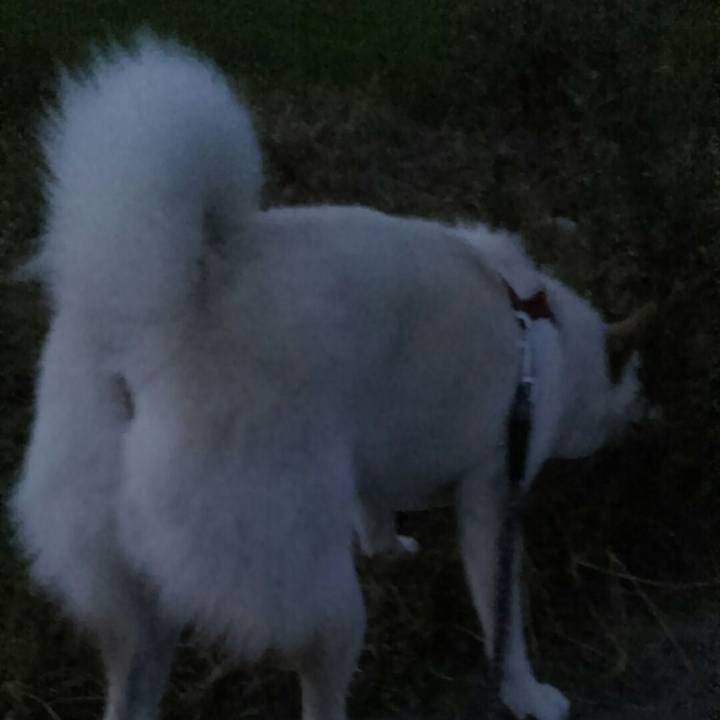 290c4d07 0e02 4378 886a 3d51102ee7b3