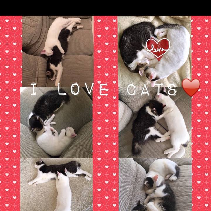 290c82cf 3696 4d9a bfa8 bdfc48611eaa