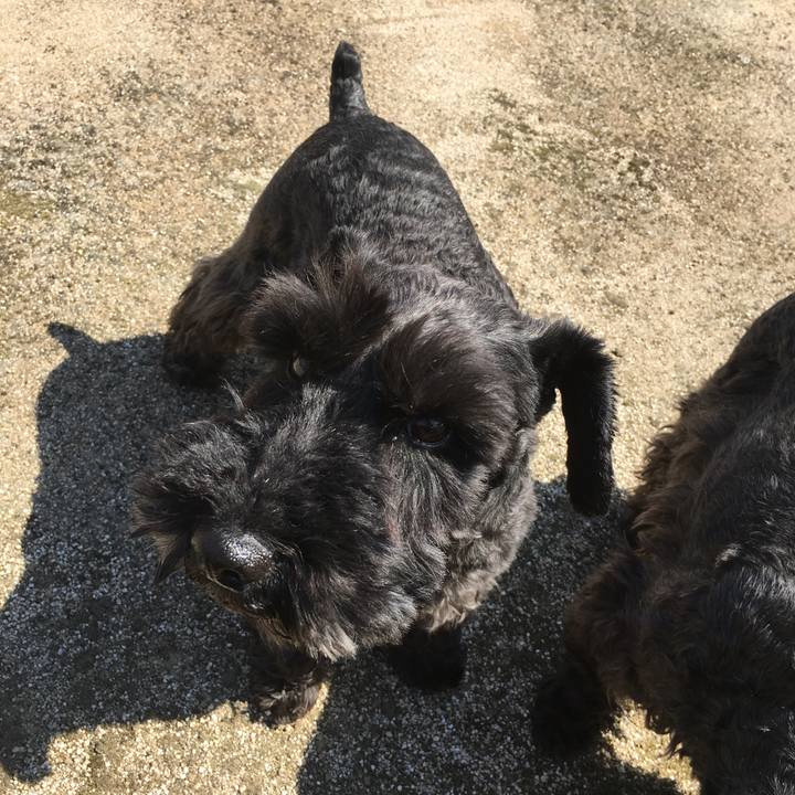 290c9882 360c 4d60 a634 1c7615c5e2d3