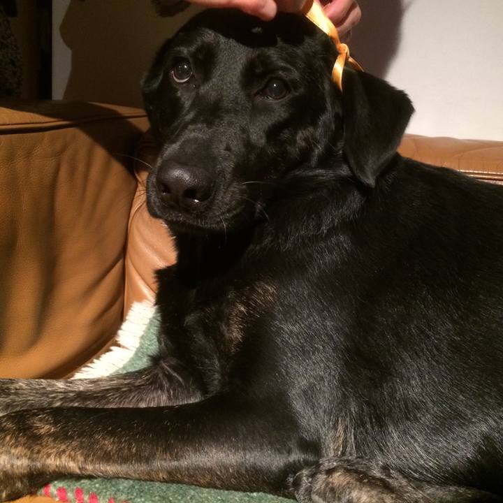 290d55bb b560 4027 b4d4 88bf9e49cab7