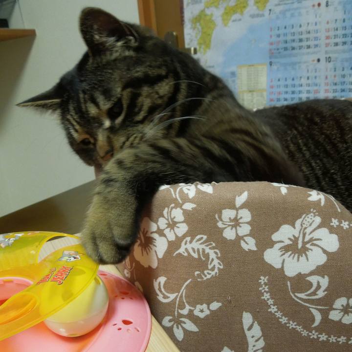 290dcf22 7ac1 44c9 a85e 2f0db927982f