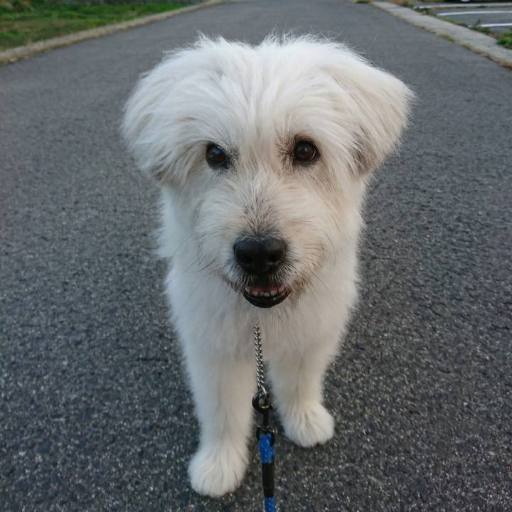 290e201d fa57 49b2 9134 cba4f07d93b7