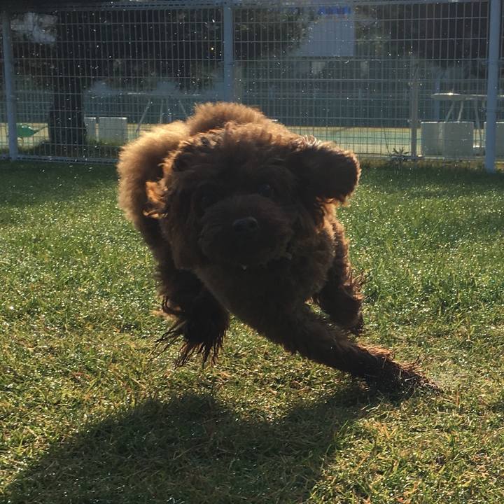 290e7435 12ac 4b93 9cfa 2404d2cde8b6