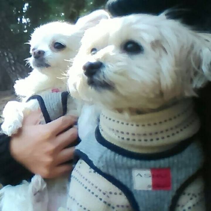 290e9389 79fc 4f3d b99a 4df3d5df8283