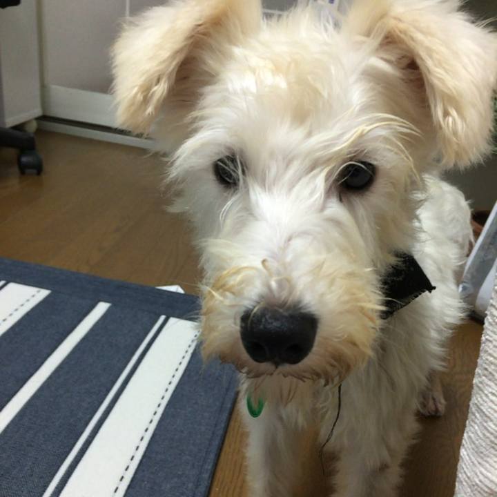 290ea927 b05f 45df 9df5 58211b09c381