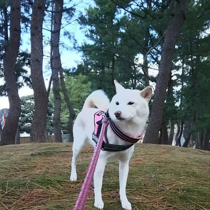 290f05f6 f692 4425 a6da 126dcdb42d41