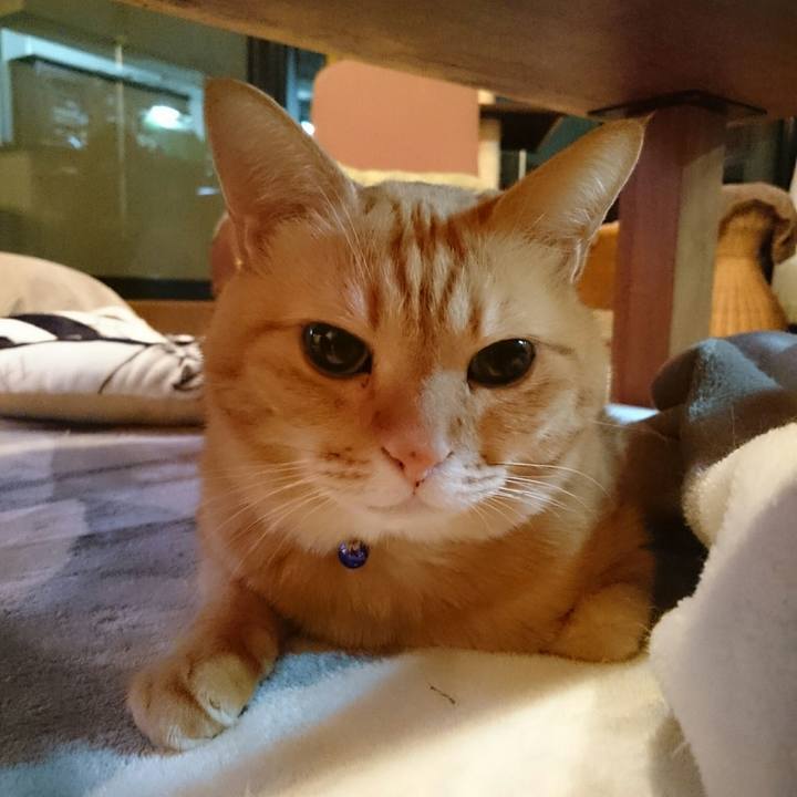 290f0bda 8d5c 4fcc af92 81da137b3d63