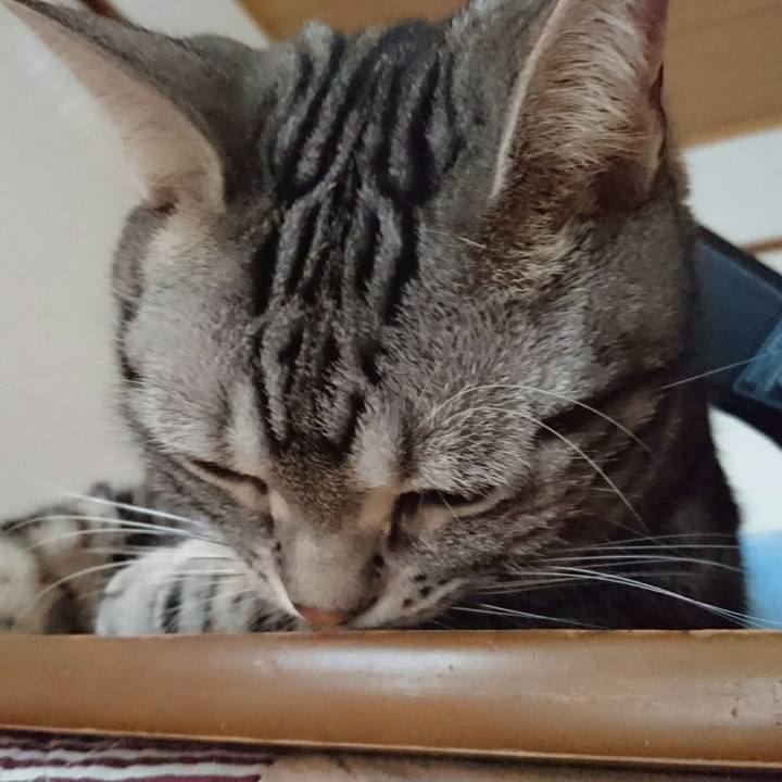 290f2e7d b5d5 41c6 bfe8 8af1ca91fb45