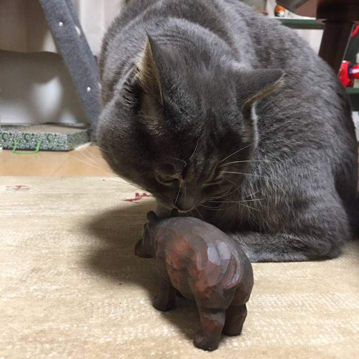 290fab95 3461 421b 8795 37022680a095