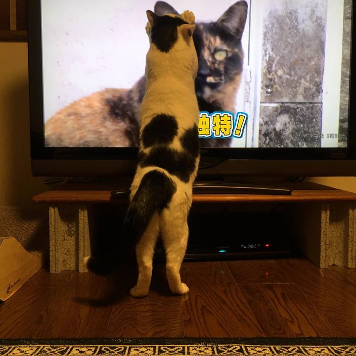 290fcbab 6d0f 4cac a1dd bd9e48b70c25