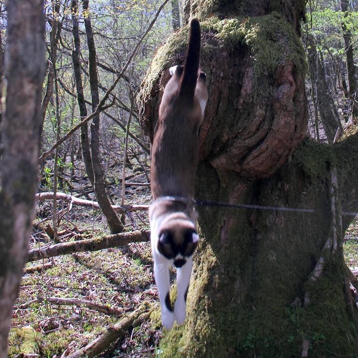 290fd61c c50e 4920 86a2 0d51f84232a8