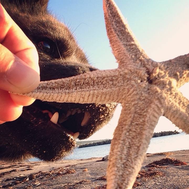 291044d7 77ca 4ada a071 3107d8671ec5