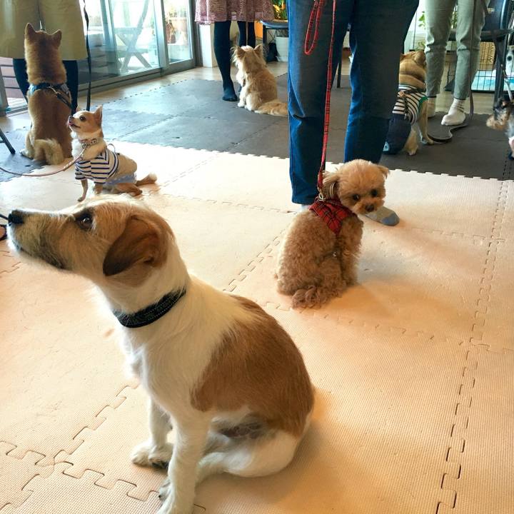 29104c62 4873 4fc5 8e2f ee33de5bf183