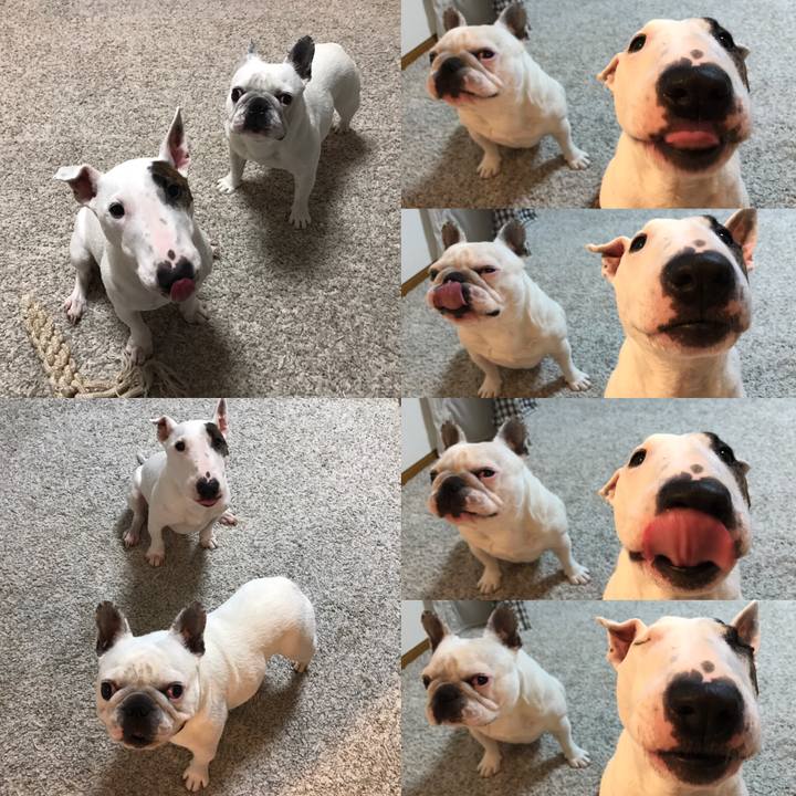 2910a2a0 678c 4fbf b1e2 01833c9261cf