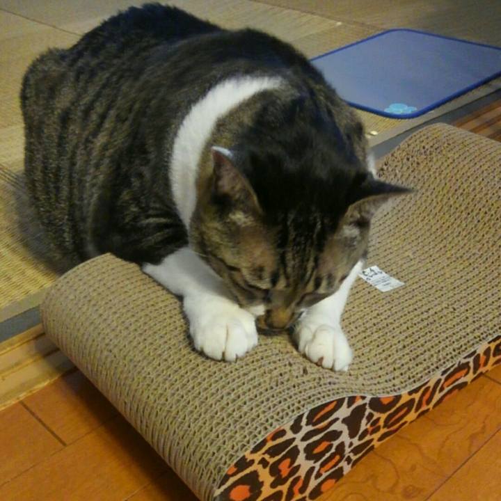 2910cf7b 673e 42e4 afd1 014aecea2027