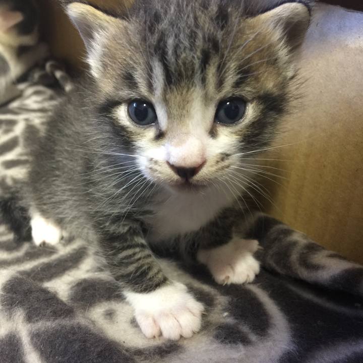 2910fe4f 3ed8 4943 82a6 715e075e99dc