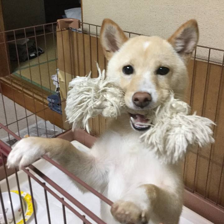 29117c41 0626 4054 93e8 01d8d7eba1a8