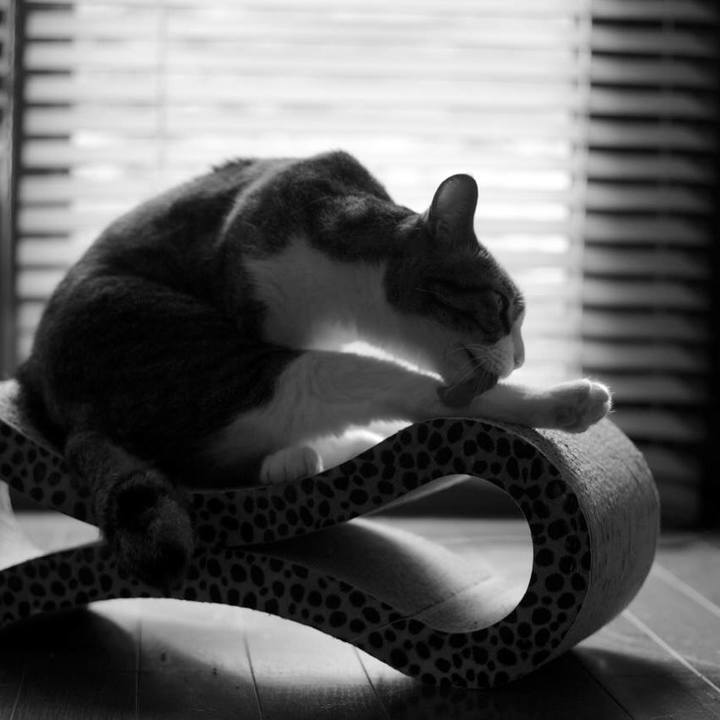 2912b3fc 30ba 49e3 a55f 0c3a2ca4e765