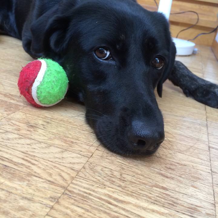 2912bd46 9124 4904 9c92 4eae3137bf9f