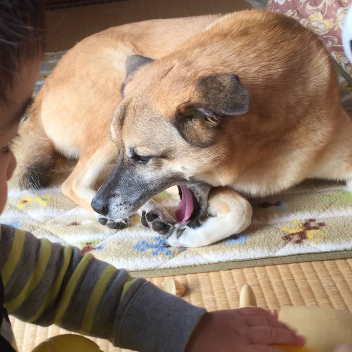 2912d51f 9e7d 4f95 9d94 11fe930dea4c