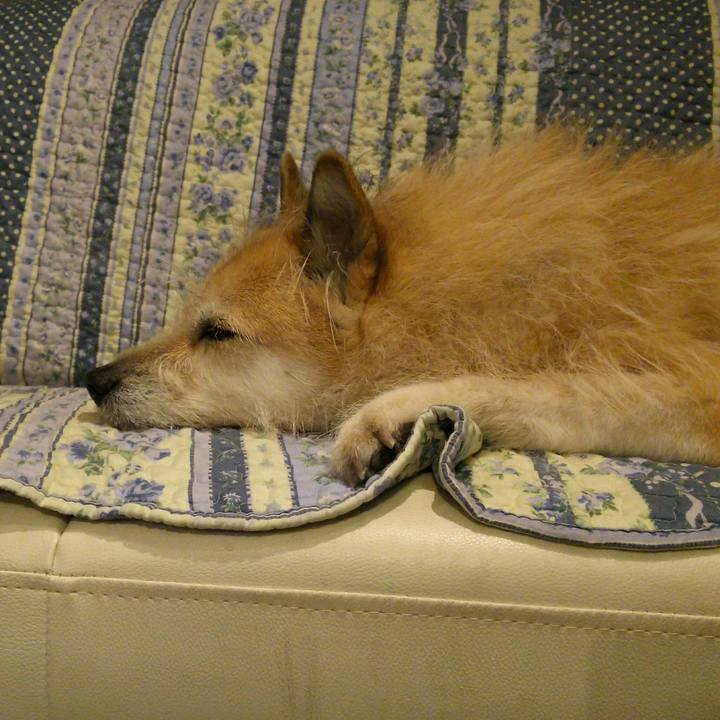 291303fc c309 4955 9214 bfeb89d32536