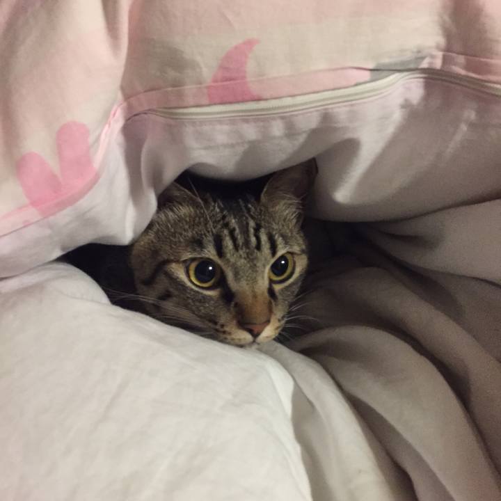 2913225f 22a5 4ffe ab34 997365013f37