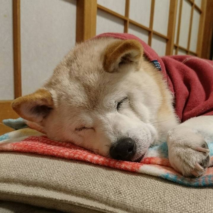 29147f91 9f24 4b0d a7ea b0b95bfd5605