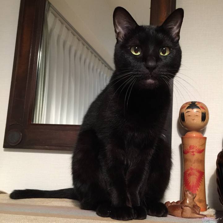 291489da 9b72 475e adc2 ff3ea13593d0